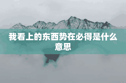 我看上的东西势在必得是什么意思